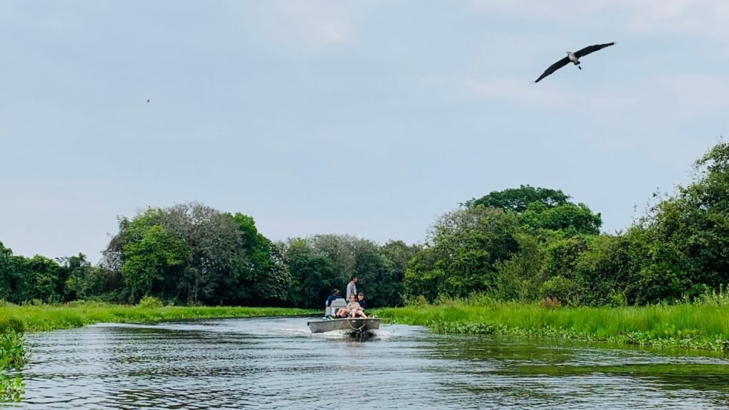 Children can visit the Pantanal