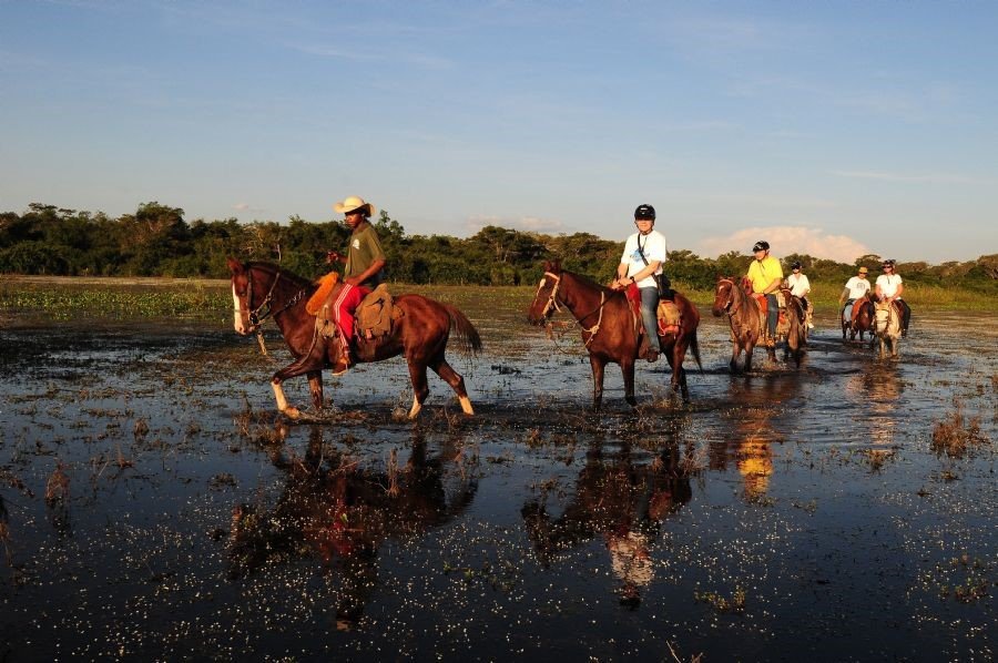 LIVING IN THE PANTANAL