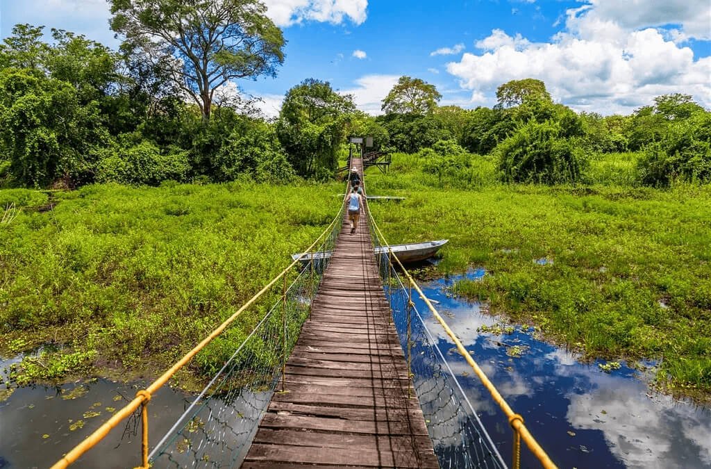 LIVING IN THE PANTANAL