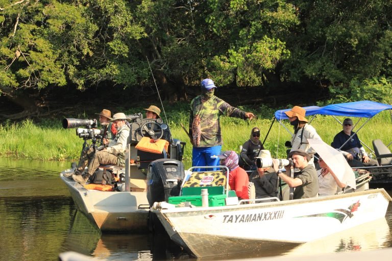 Tour Pantanal Jaguar Safaris