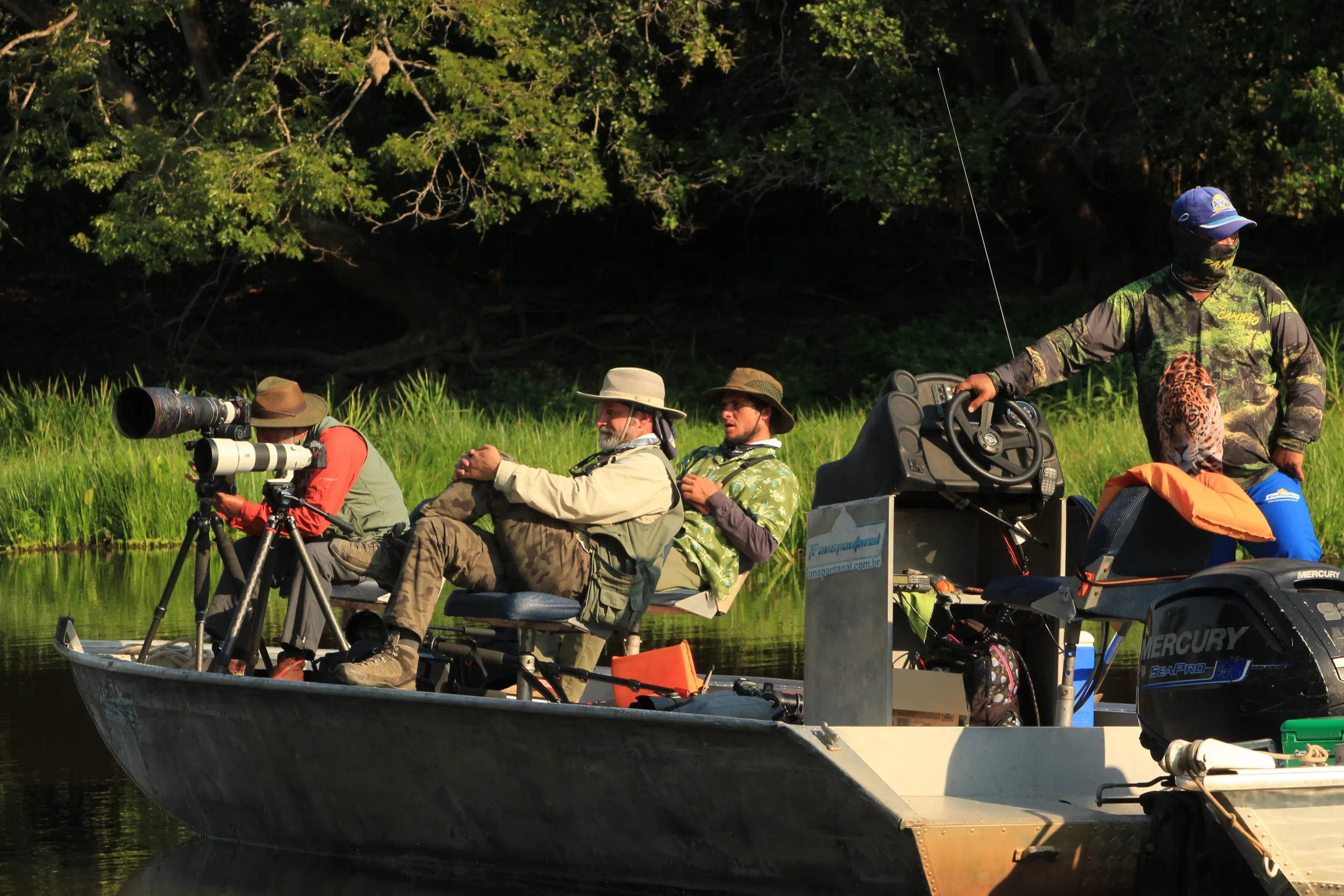 Pantanal jaguar-nosotros