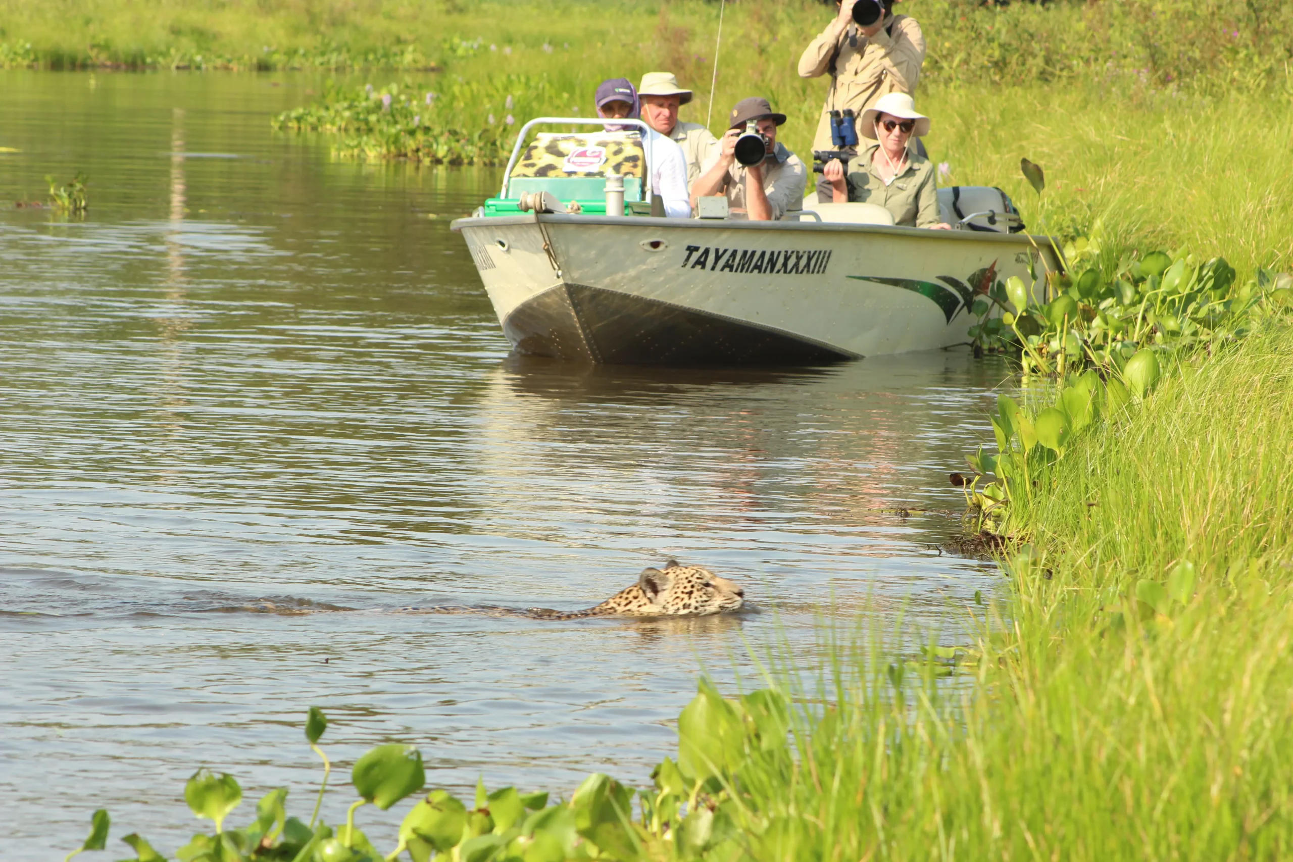 Jaguar Safari in the Pantanal: What to take on a 6-day trip?