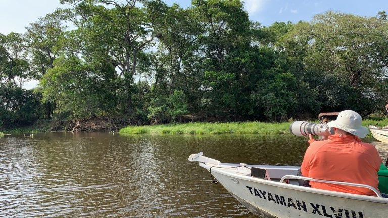 Pantanal jaguar safaris - Jaguar Land