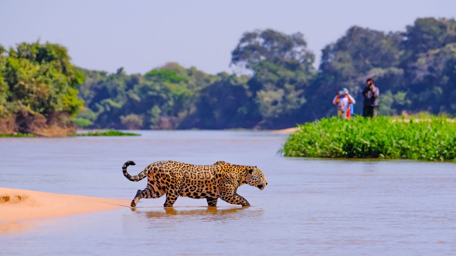 Exploring the Magnificent Pantanal of Brazil