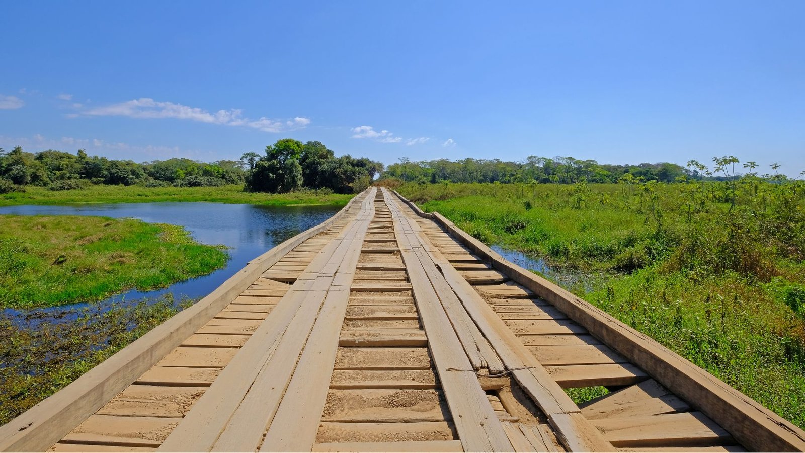 pantanal: Hotels in porto jofre