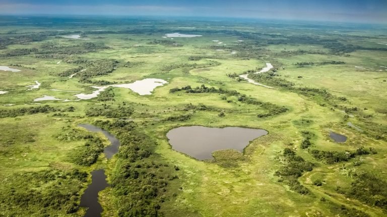 Aerial view of Pantanal wetlands, Pantanal, Brazil - South and north Pantanal