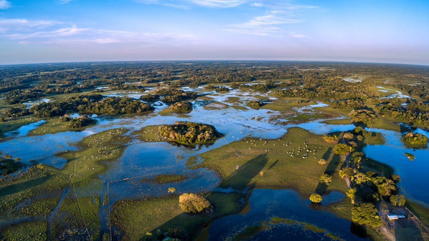 Pantanal: a haven for relaxation and well-being