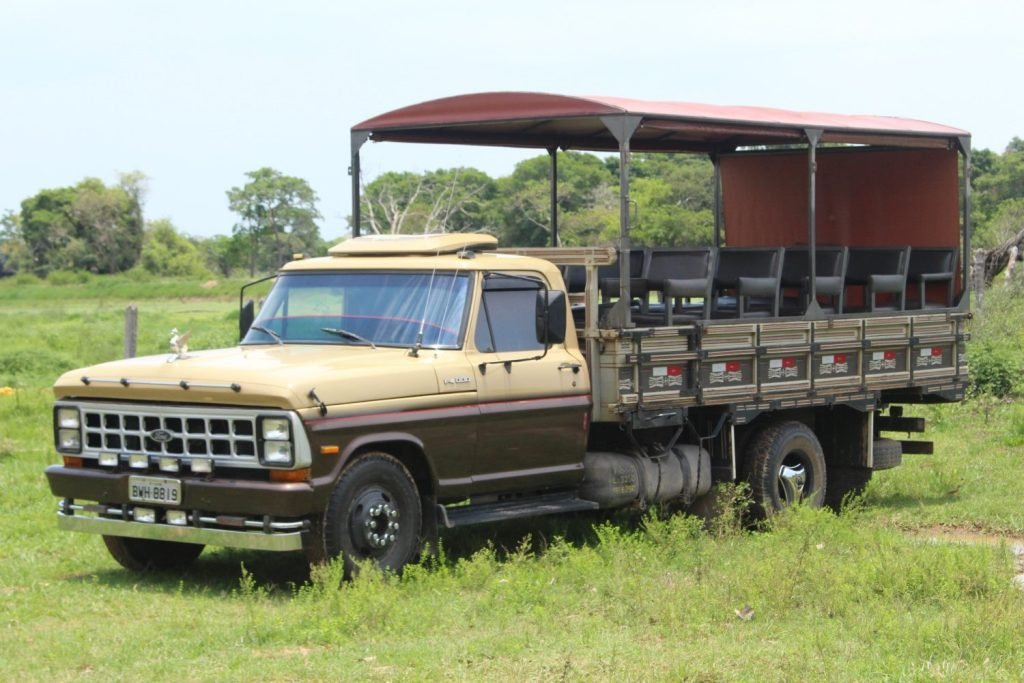 Northern Pantanal by bus