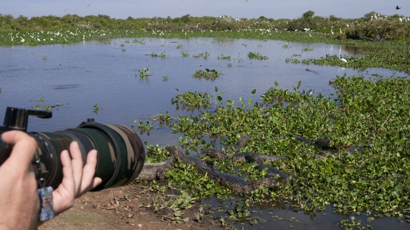 Adventure tours in the Pantanal