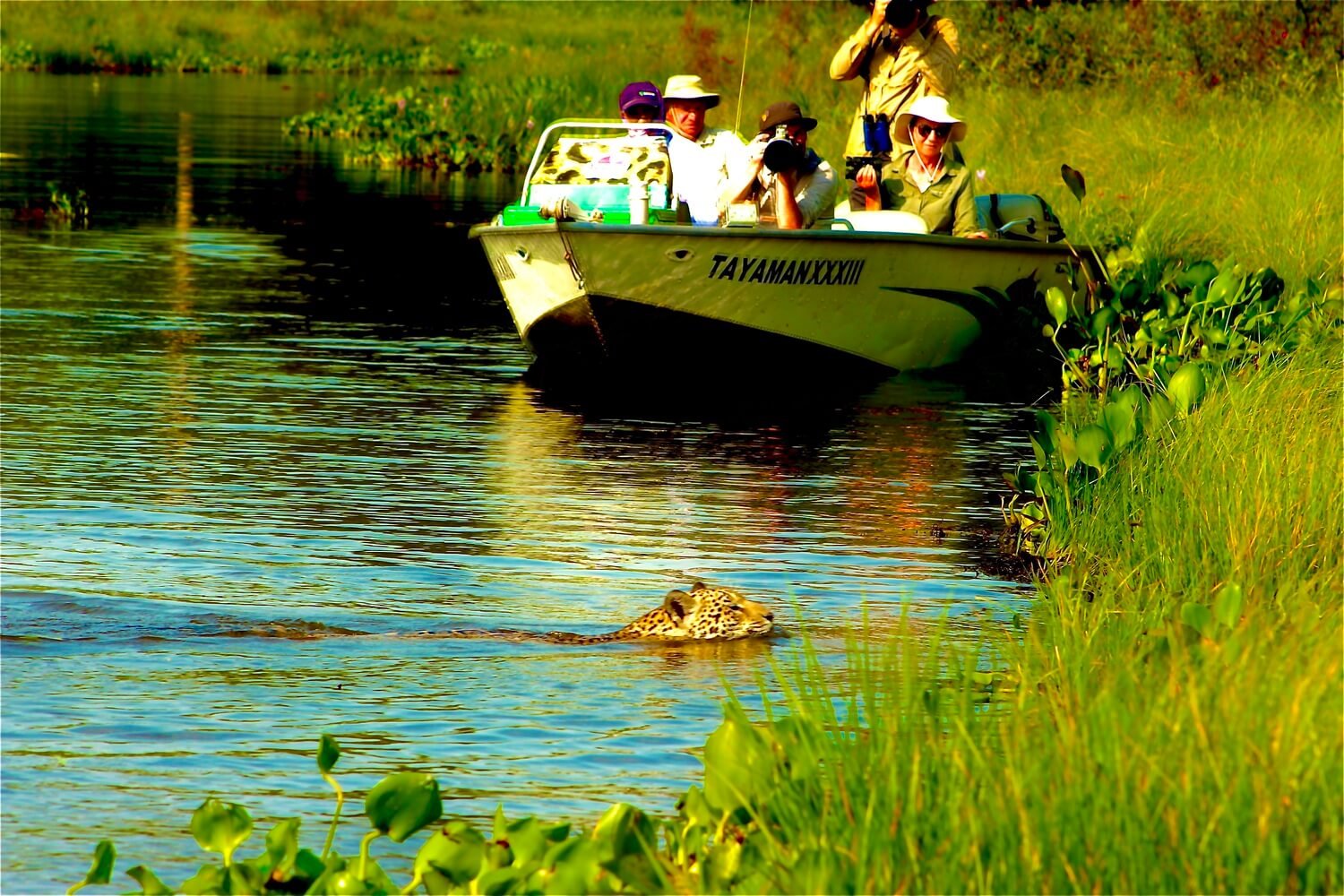 Pantanal Jaguar Safaris 6 Days in BrazilPhoto #8 