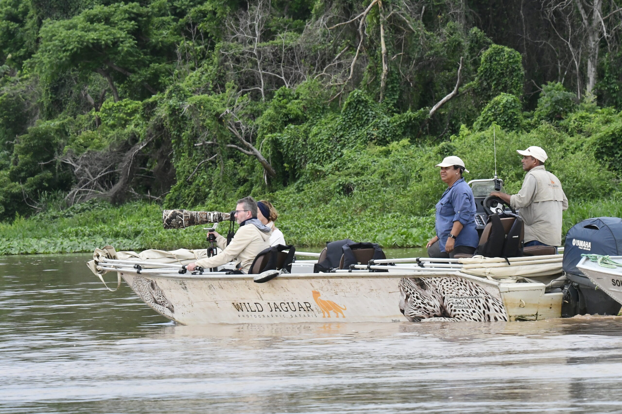 Best Season for Pantanal Jaguars Porto Jofre