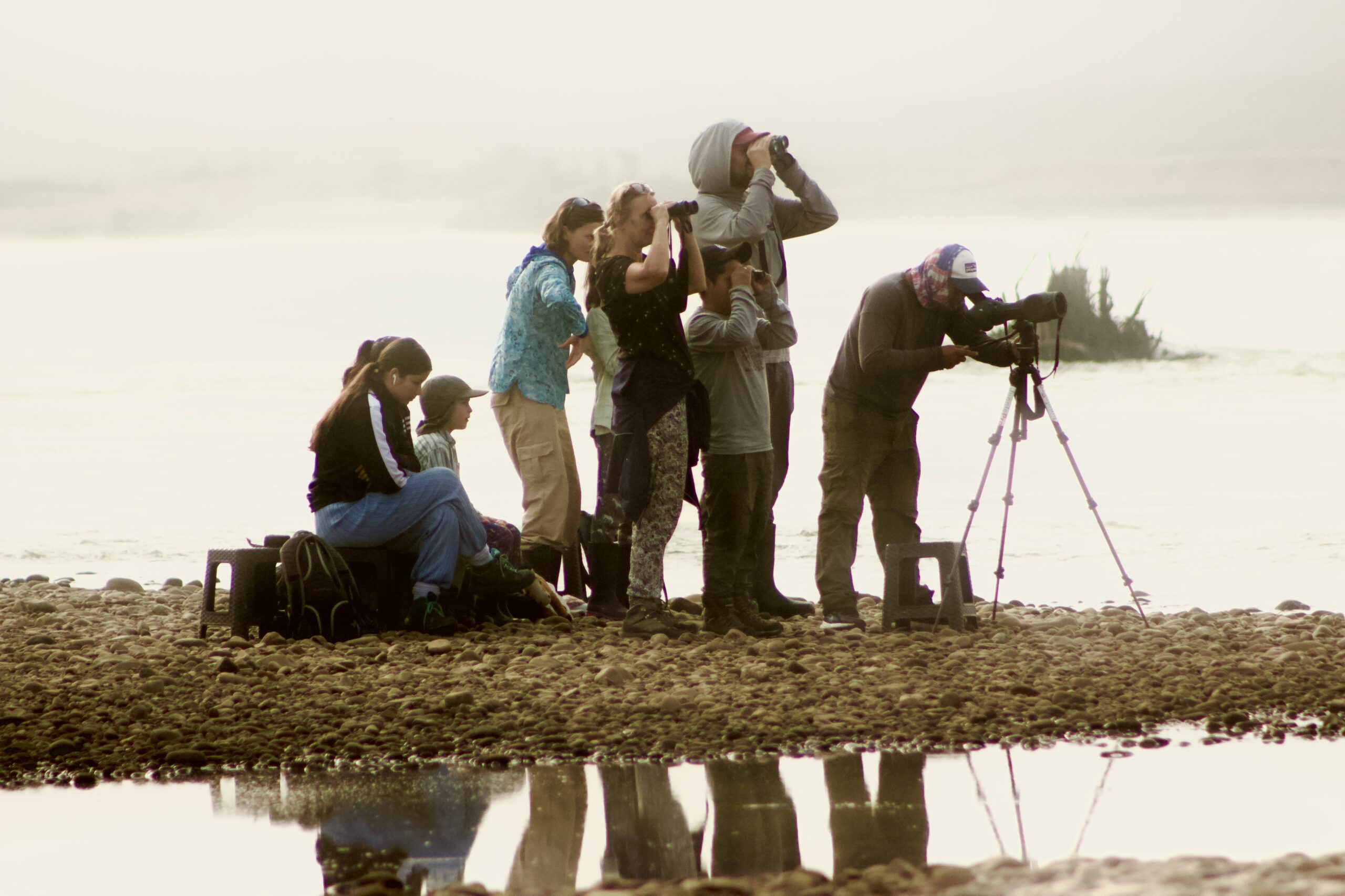 The Best Lenses for Photographing Jaguars in 2026